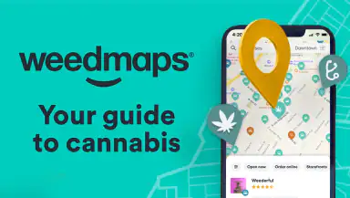 Weedmaps: Buy Local Weed header