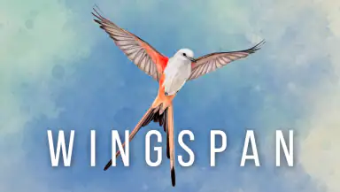 Wingspan: The Board Game header