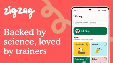 Zigzag - Dog & Puppy Training header