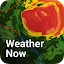 Weather Now Launcher - Radar icon