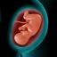 Astha Pregnancy icon