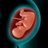 Astha Pregnancy icon