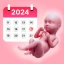 Pregnancy Tracker & Calculator icon