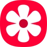 Gallery icon