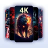 Live Wallpapers 4K, HD, 3D icon