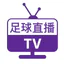 Live football TV icon