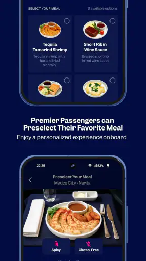 Aeroméxico screenshot