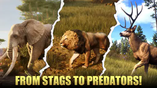 Animal Hunter : Wild Sniper screenshot