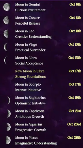 AstroMatrix Birth Horoscopes screenshot