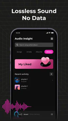 Audio Insight - Offline Music screenshot