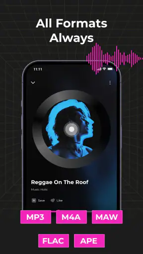 Audio Insight - Offline Music screenshot