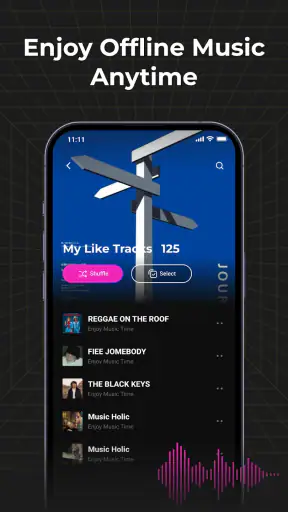 Audio Insight - Offline Music screenshot