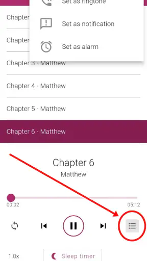 Bible NIV - Audio Bible App screenshot