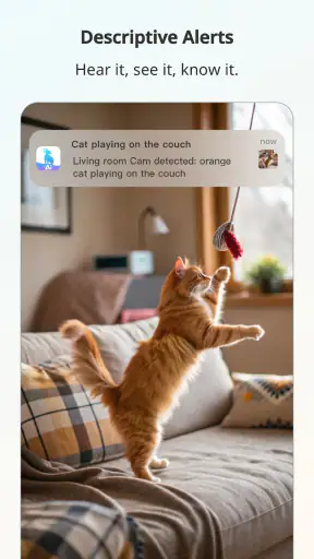 blurams screenshot