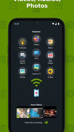Cast to TV+ Chromecast Roku TV screenshot