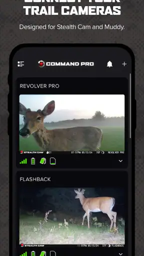 Command screenshot