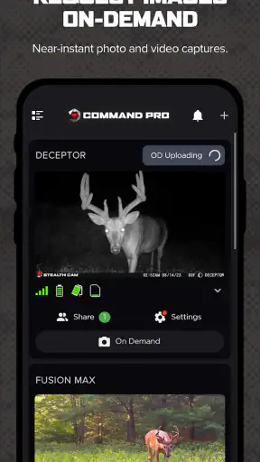 Command screenshot