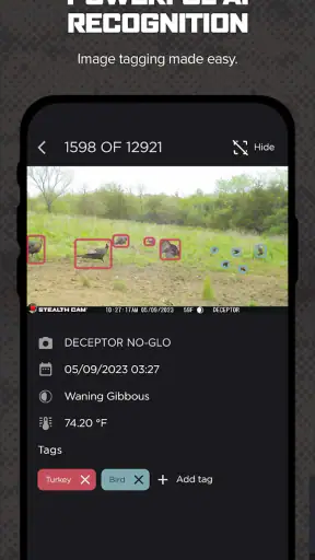 Command screenshot
