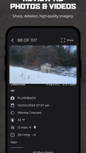 Command screenshot