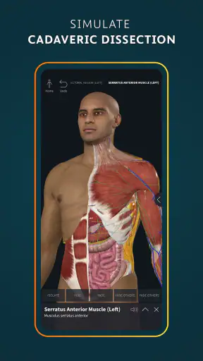 Complete Anatomy screenshot