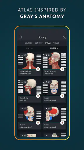 Complete Anatomy screenshot