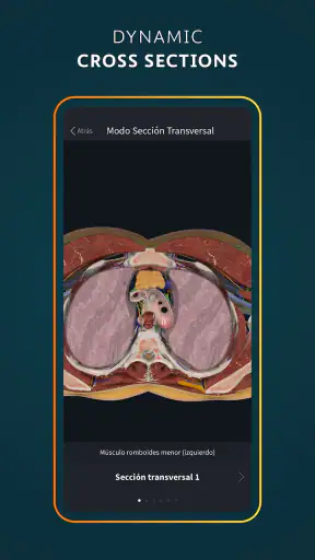 Complete Anatomy screenshot