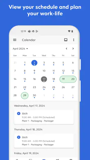 Dayforce screenshot