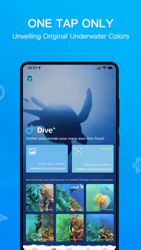 Dive+ : Diving Community screenshot