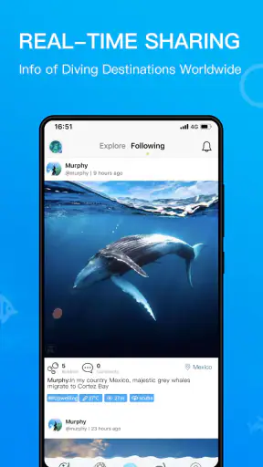 Dive+ : Diving Community screenshot
