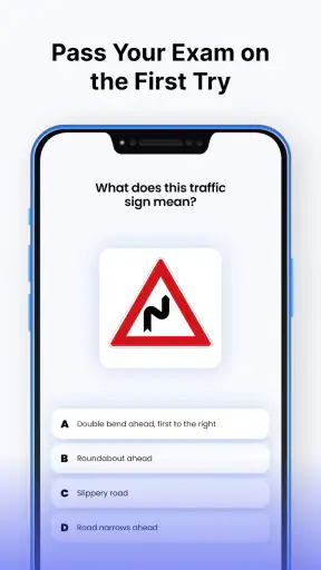 Driving Instructor: Road Test screenshot