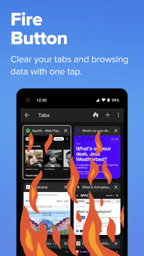 DuckDuckGo, Duck.ai (optional) screenshot