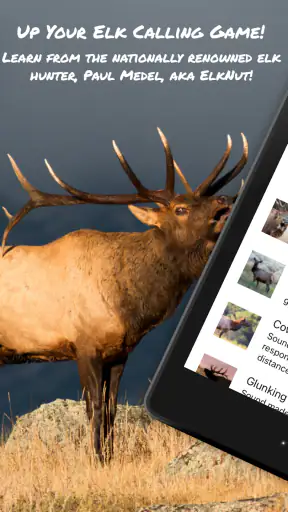 ElkNut screenshot