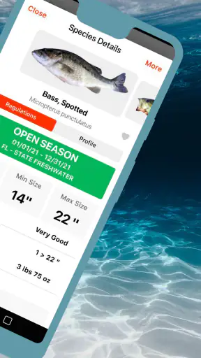 FishVerify: ID & Regulations screenshot