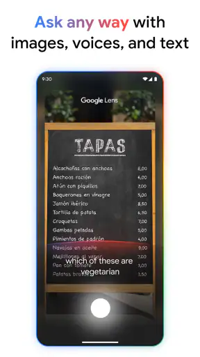 Google screenshot