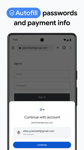 Google Chrome screenshot