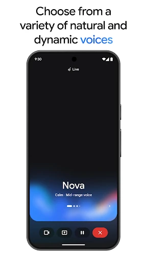 Google Gemini screenshot