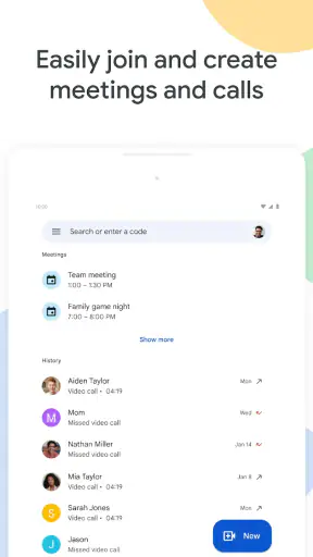 Google Meet screenshot