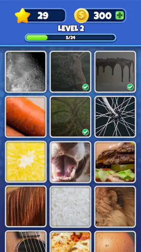 Guess it! Zoom Pic Trivia Game screenshot