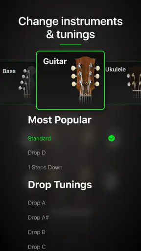 Guitar Tuner Pro: Music Tuning screenshot
