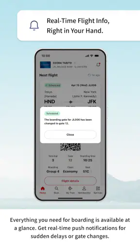 Japan Airlines screenshot