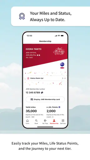 Japan Airlines screenshot