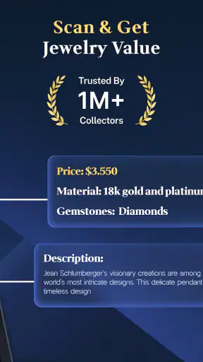 Jewelry Identifier Gem Scanner screenshot
