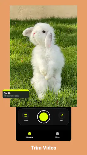 Lite Player screenshot