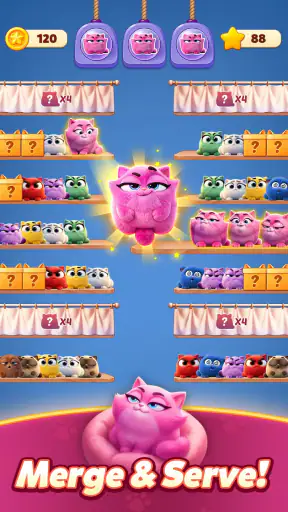 Meow Sort-Color Puzzle Master screenshot