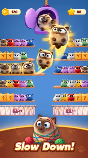Meow Sort-Color Puzzle Master screenshot