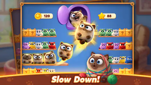Meow Sort-Color Puzzle Master screenshot