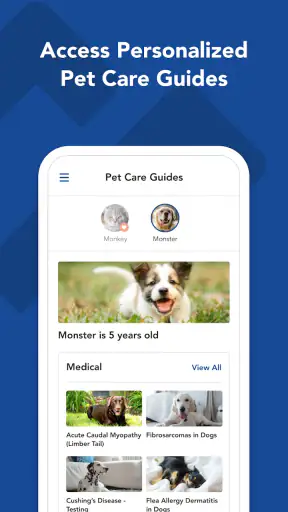 myVCA screenshot