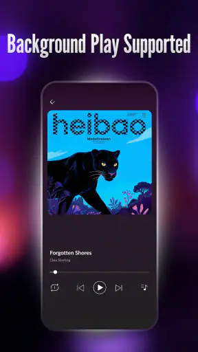 Offline Player: Local Music screenshot