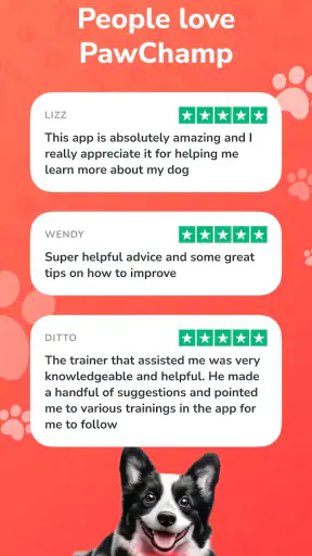 PawChamp - Dog Training & Care screenshot