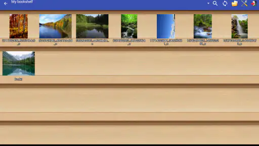 Perfect Viewer Donation screenshot